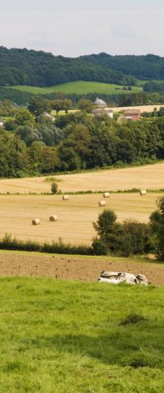 Rentmeesterskantoor Huntjens Noorbeek 7