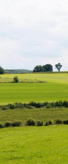 Rentmeesterskantoor Huntjens Noorbeek 9